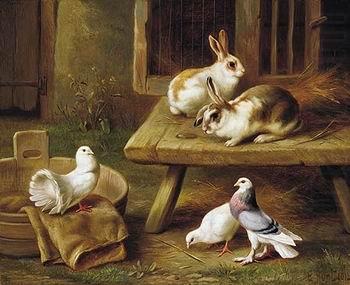 unknow artist Two Rabbits and three pigeons 069 china oil painting image